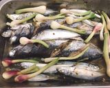 Hình bước làm 2 của món Cá nục hấp hànhChấm mắm nêm 🤤