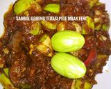 Foto langkah ke 4 dari resep Sambel goreng terasi pete sederhana.