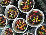 Choco Muffin