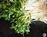 A picture of step 1 of Baby methi.