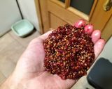 Foto del paso 5 de la receta: Mermelada y sirope de higos chumbos