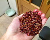 Foto del paso 5 de la receta: Mermelada y sirope de higos chumbos