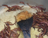 A picture of step 2 of Mutton Pilau#Arabic contest.