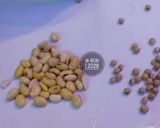 Foto langkah ke 1 dari resep Susu Kedelai, Enak, Tidak Langu.