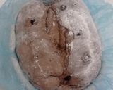 Foto langkah ke 17 dari resep Mix Seeds Double Chocolate Sourdough Bread (Kabuki Gold).