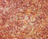 Foto del paso 7 de la receta: Pastel de carne🍛💜
