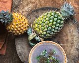 Hình bước làm 2 của món Cháo Đậu Đen Thịt Bò Băm