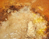 Foto del paso 6 de la receta: Cintas con costillas