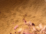 Dambun couscous
