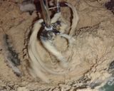 Foto del paso 2 de la receta: Pastisetas y bebida oreo