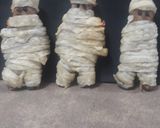A picture of step 5 of Rajma mummies.