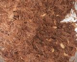 A picture of step 4 of Sindhi Meethi seviyan.