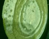 A picture of step 6 of Stuffed Moong Dal Wrap - Veggie & Paneer Stuffed Moong Dal Wrap.