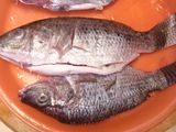 Ikan mujair goreng kriuk