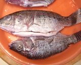 Foto langkah ke 1 dari resep Ikan mujair goreng kriuk.