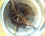 Foto langkah ke 3 dari resep Teh jahe jeruk nipis.