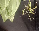 A picture of step 1 of Paan Mocktail.