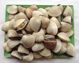 Hình bước làm 1 của món Canh cải con nấu nghêu