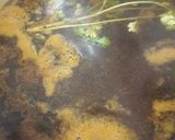 ரசம் (Rasam recipe in tamil) ரெசிபி ஸ்டேப் 4 புகைப்படம்