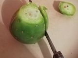 Tunas (La fruta ancestral del nopal y su historia en México)