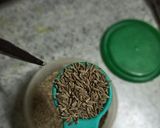 A picture of step 20 of Lauki Tikka Masala.