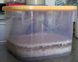 Foto langkah ke 7 dari resep 4. Virgin Coconut Oil (VCO)/ minyak kelapa murni tanpa pemanasan.