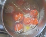 Une image de l'étape 6 de Dolma 🍋.