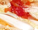 番茄洋蔥燉大白菜食譜步驟4照片