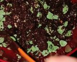Foto langkah ke 2 dari resep Cococrunch Pandan Kacang Coklat.