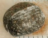 Foto langkah ke 15 dari resep Charcoal Wijen Sourdough Bread.