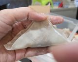 A picture of step 4 of How to fold a Siomai.