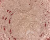 A picture of step 6 of Chocolate cupcakes with buttercream Frosting.