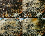 Foto langkah ke 8 dari resep Martabak Manis Spesial KCKW (Keju Cokelat Kacang Wijen).