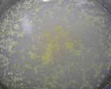 Foto del paso 4 de la receta Vichyssoise
