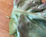 Foto del paso 1 de la receta: Rollitos de lechuga 🥬