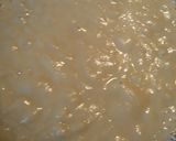 A picture of step 11 of Saint Patrick's Day Cabbage, Potatoes and Cornedbeef Soup.