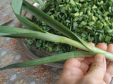 سیرموک