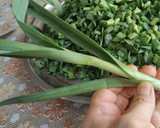 عکس مرحله 1 از دستور سیرموک