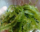 Foto langkah ke 4 dari resep Som Tam Green Caviar / Anggur Laut.