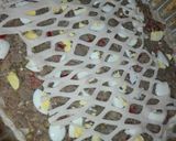 Foto del paso 4 de la receta: Tarta de atún Gaby✨