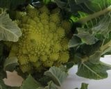 Une image de l'étape 1 de Curry légumes de saison.