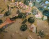 Thai Green Chicken Curry recipe step 4 photo