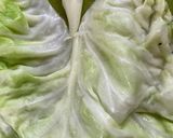 A picture of step 7 of Cabbage Rolls.