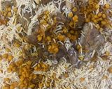 صورة لخطوة 8 من وصفة أرز بحمص