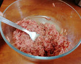 Foto del paso 1 de la receta: Hamburguesas de régimen