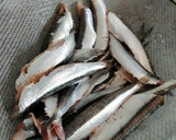 Foto del paso 1 de la receta: Boquerones de Nini