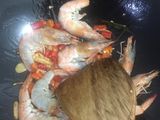 Tumis udang bening