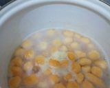 Foto langkah ke 3 dari resep Bubur Candil diWORTELan.