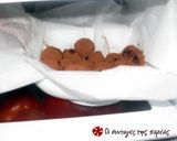 Φωτογραφία βήματος 6 της συνταγής Τρούφες με χουρμάδες