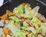 鶏ちゃん (keichan) - 岐阜鄉土料理的食譜步驟6照片